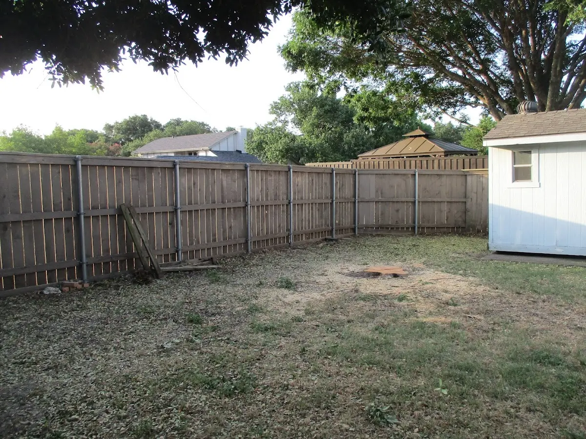 Cleared yard after professional tree removal in Dixon Springs