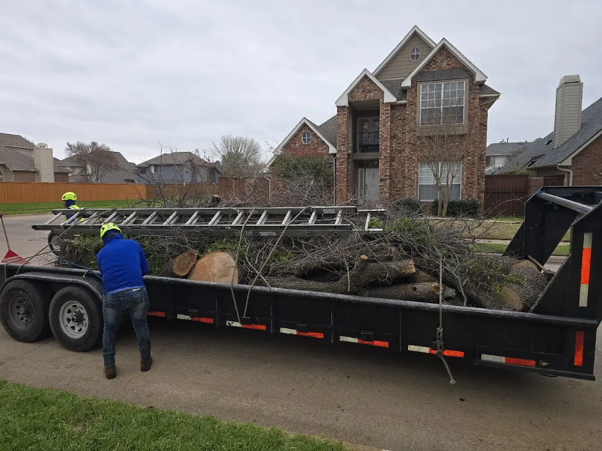 Expert Tree Pest Control with proper safety equipment in Dixon Springs
